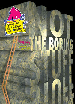 Not the Boring Stuff (flute)